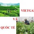 QUY CHUẨN KỸ THUẬT QUỐC GIA ĐỐI VỚI RAU, QUẢ, CHÈ BÚP TƯƠI ĐỦ ĐIỀU KIỆN BẢO ĐẢM AN TOÀN THỰC PHẨM TRONG QUÁ TRÌNH SẢN XUẤT, SƠ CHẾ (QCVN-01-132-2013) [&hellip;]