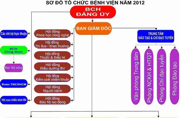 Mau_SodoTochuc_Benhvien